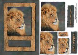 Lion Card Front