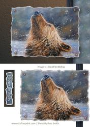 Bear in Water Painting Quick Card