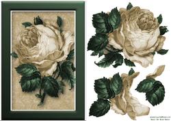Golden Rose Quick Card