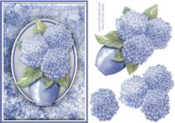 Hydrangeas Quick Card