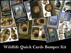 Wildlife Quick Cards Bumper Kit