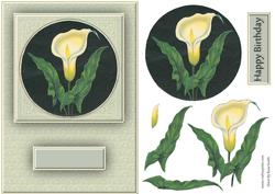 Calla Lily Quick Card
