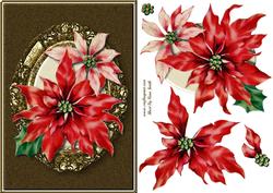 Poinsettias Quick Card