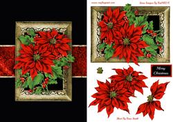 Poinsettias Quick Card