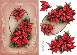 Poinsettias Quick Card