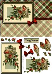 Robins Quick Card