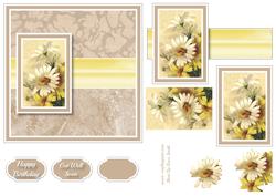 Daisies 6x6 Quick Card