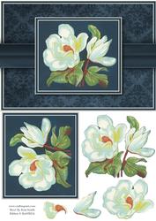 Magnolias Quick Card