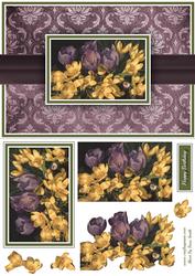 Purple & Yellow Flowers Quick Card