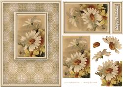 Daisies Quick Card