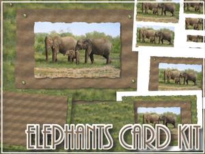 Elephants Card Kit