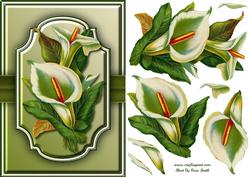Calla Lilies Quick Card