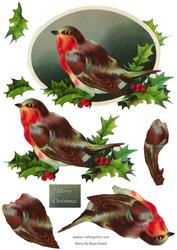 Robin Shaped Card