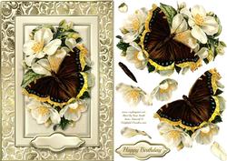 Fancy Butterfly Quick Card