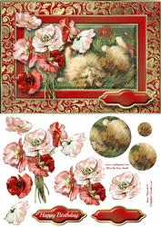 Cats & Poppies Fancy Quick Card