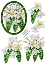 White Flowers Decoupage