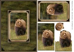 Bear Quick Card