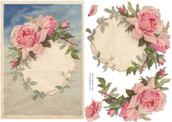 Delicate Pink Roses Quick Card