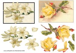 White Lilies & Yellow Rose Duodecoupage