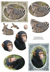Zebras & Chimp - Wildlife Duodecoupage