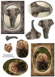 Elephant & Bear - Wildlife Duodecoupage