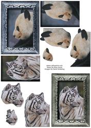 Panda & White Lion - Wildlife Duodecoupage