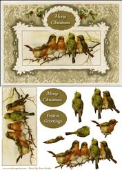 Vintage Robins Quick Card