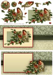 Robins Dl Card with Decoupage and Insert