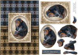 Cheeky Chimp Quick Card