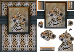 Jaguar Quick Card