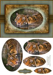 Swimming Tiger Quick Card