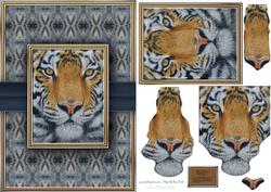 Tiger Face Quick Card