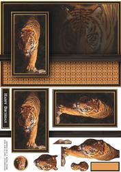 Tiger in the Shadow Quick Card