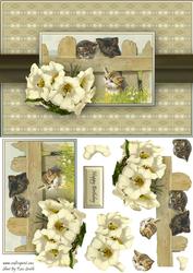Cats Quick Card