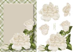 Cream Roses Card Front
