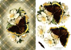 Butterfly Card Front