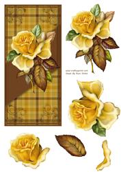 Golden Rose Dl Card Front
