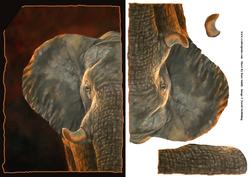 Elephant Card Front and Decoupage