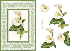 Calla Lily on Lace Card Front