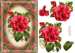 Pink and White Flowers Card Front 2