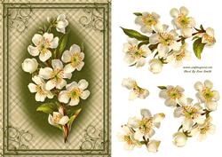 Cream Flowers Card Front