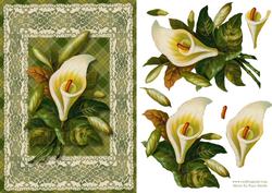 Calla Lily Card Front