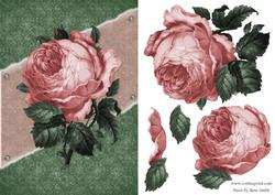 Pink Rose Card Front
