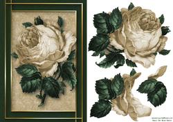 Golden Rose Card Front