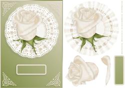 Cream Rose on Lace Card Front