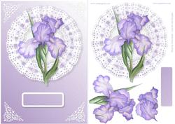 Iris on Lace Card Front
