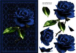 Stunning Blue Rose Card Front