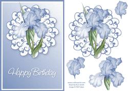 Blue Iris Card Front