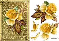 Golden Rose Card Front