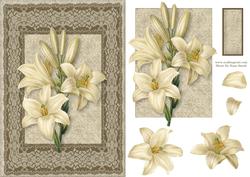 White Lily Card Front
